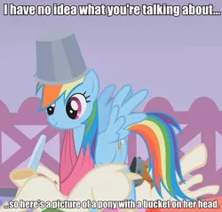 Size: 600x574 | Tagged: bucket, bucketdash, cute, derpibooru import, headbucket, image macro, rainbow dash, safe, screencap, smiling, solo, spread wings, suited for success