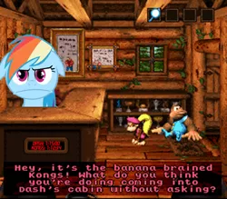 Size: 500x438 | Tagged: derpibooru import, dixie kong, donkey kong, donkey kong country, donkey kong country 3, edit, kiddy kong, nintendo, rainbow dash, rareware, safe, text