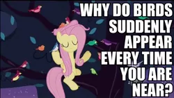 Size: 960x540 | Tagged: safe, derpibooru import, edit, edited screencap, screencap, constance, fluttershy, bird, blue jay, pony, sweet and elite, caption, close to you, eyes closed, female, image macro, mare, sitting in a tree, solo, song reference, the carpenters