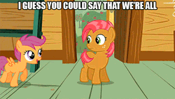 Size: 480x270 | Tagged: animated, babscoot, babs seed, butt bump, butt to butt, butt touch, caption, derpibooru import, edit, edited screencap, image macro, one bad apple, safe, scootaloo, screencap