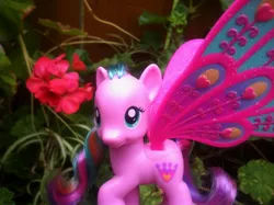 Size: 2592x1936 | Tagged: safe, artist:captianshelby, derpibooru import, official, ploomette, pony, brushable, glimmer wings, irl, photo, solo, toy