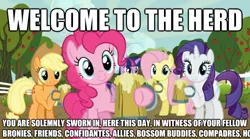 Size: 500x278 | Tagged: safe, derpibooru import, edit, edited screencap, screencap, applejack, fluttershy, pinkie pie, rarity, twilight sparkle, one bad apple, the super speedy cider squeezy 6000, apple, apple tree, cider, image macro, mug, spanish, sweet apple acres, synonyms, tree, welcome to the herd
