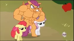 Size: 430x243 | Tagged: apple bloom, artist:cybersp0nge, ax brutaloo, derpibooru import, edit, edited screencap, muscles, one bad apple, overdeveloped muscles, safe, scootaloo, screencap, strongaloo, sweetie belle