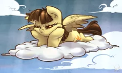 Size: 1000x600 | Tagged: safe, artist:atryl, derpibooru import, wild fire, pegasus, pony, bored, cloud, cloudy, female, mare, on a cloud, solo, unamused, wild fire is not amused