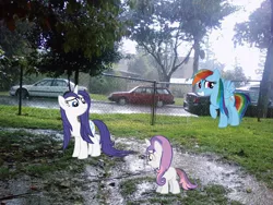 Size: 1024x768 | Tagged: safe, derpibooru import, rainbow dash, rarity, sweetie belle, pony, irl, park, photo, ponies in real life, rain, vector, wet, wet mane, wet mane rarity