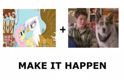 Size: 1146x738 | Tagged: safe, derpibooru import, fluttershy, gilda, gryphon, 100 deeds of eddie mcdowd, all caps, eddie mcdowd, exploitable meme, jimmy taylor, make it happen, meme, meta