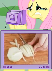 Size: 563x771 | Tagged: safe, derpibooru import, fluttershy, pony, crying, exploitable meme, fluttercry, food, meme, onion, photo, tv meme