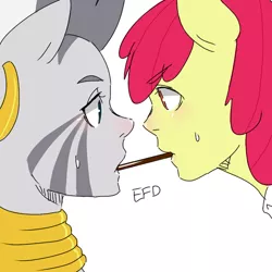 Size: 500x500 | Tagged: anthro, apple bloom, artist:efd, human facial structure, humanized, pocky, pocky game, safe, shipping, simple background, white background, zebra, zecobloom, zecora