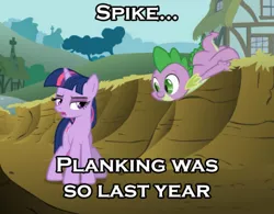 Size: 500x390 | Tagged: derpibooru import, planking, safe, spike, twilight sparkle