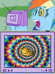 Size: 800x1065 | Tagged: safe, derpibooru import, rainbow dash, pony, exploitable meme, futurama, hypnotoad, meme, tv meme