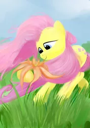 Size: 724x1024 | Tagged: dead source, safe, artist:rubrony, derpibooru import, fluttershy, pegasus, pony, female, flower, grass, mare, sky, smiling, solo