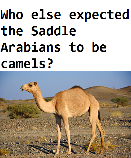 Size: 449x541 | Tagged: camel, dromedary, meta, racism, saddle arabia, saddle arabian, safe, text