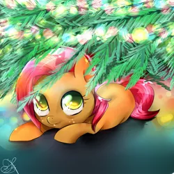 Size: 1400x1400 | Tagged: adorababs, artist:daughter-of-fantasy, babs seed, christmas, christmas tree, cute, derpibooru import, looking at you, prone, safe, smiling, tree