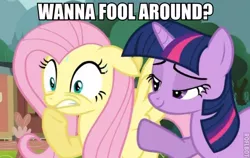 Size: 508x321 | Tagged: safe, derpibooru import, edit, edited screencap, screencap, fluttershy, twilight sparkle, pegasus, pony, unicorn, magic duel, bedroom eyes, caption, female, image macro, innuendo, lesbian, mare, out of context, shipping, twishy, wide eyes