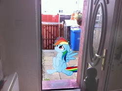 Size: 2592x1936 | Tagged: safe, artist:ponywithacrispyface, derpibooru import, rainbow dash, pony, door, fence, irl, outdoors, photo, ponies in real life, sad, vector