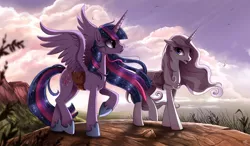 Size: 1295x756 | Tagged: safe, artist:ruhje, derpibooru import, fleur-de-lis, twilight sparkle, twilight sparkle (alicorn), alicorn, pony, unicorn, fanfic, fanfic:myths and birthrights, cloud, cloudy, cutie mark, duo, fanfic art, female, hoof shoes, horn, jewelry, mare, necklace, raised hoof, saddle bag, spread wings, ultimate twilight, wings