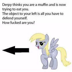Size: 480x480 | Tagged: bronybait, derpibooru import, derpy hooves, image macro, question, safe, simple background, text, vector, vulgar, what do, white background