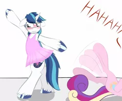 Size: 1200x1000 | Tagged: dead source, safe, artist:kryptchild, derpibooru import, princess cadance, shining armor, pony, armpits, ballerina, ballet, bipedal, blushing, clothes, crossdressing, dancing, dress, embarrassed, femboy, floppy ears, frown, hoofy-kicks, image, jpeg, laughing, on back, shining femboy armor, tutu, unshorn fetlocks