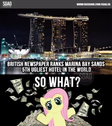 Size: 800x900 | Tagged: safe, derpibooru import, fluttershy, image macro, obligatory pony, photo, singapore