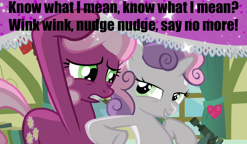 Size: 1200x700 | Tagged: caption, cheerilee, classroom, derpibooru import, duo, edit, edited screencap, heart, hearts and hooves day, hearts and hooves day (episode), if you know what i mean, image macro, meme, monty python, monty python's flying circus, nudge, nudging, parody, ponyville schoolhouse, safe, screencap, sweetie belle