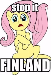 Size: 340x500 | Tagged: artist needed, source needed, safe, derpibooru import, fluttershy, finland, finnish, reaction image, solo
