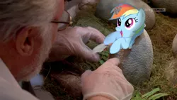 Size: 800x450 | Tagged: safe, artist:capdoodlemcphotoshop, derpibooru import, rainbow dash, adoption, cute, dashabetes, egg, hatching, john hammond, jurassic park, parody