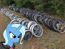 Size: 640x480 | Tagged: safe, derpibooru import, trixie, pony, alicorn amulet, irl, photo, ponies in real life, vector, wheel, wheels trixie