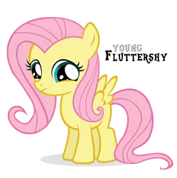Size: 4225x4245 | Tagged: safe, artist:blackm3sh, derpibooru import, fluttershy, absurd resolution, cute, female, filly, filly fluttershy, image, png, sad, sadorable, shyabetes, younger