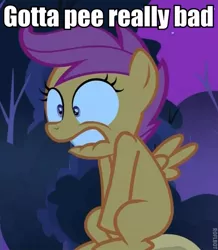 Size: 501x575 | Tagged: caption, covering crotch, derpibooru import, desperation, edit, edited screencap, image macro, lip bite, need to pee, omorashi, potty time, safe, scootaloo, screencap, sleepless in ponyville, solo, text