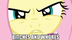 Size: 800x446 | Tagged: bitches and whores, fluttershy, image macro, parody, persona, persona 4, safe, vulgar