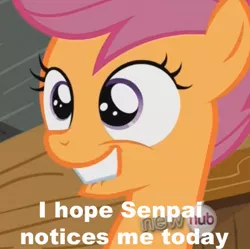 Size: 467x466 | Tagged: derpibooru import, dialogue, edit, edited screencap, female, hub logo, image macro, safe, scootaloo, screencap, senpai, sleepless in ponyville, solo