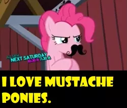 Size: 615x523 | Tagged: commercial, derpibooru import, moustache, pinkie pie, safe, spike at your service, yellow words