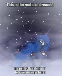 Size: 902x1114 | Tagged: safe, derpibooru import, princess luna, sleepless in ponyville, caption, dream, dream walker luna, meme, solo