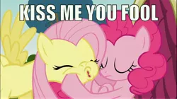Size: 7366x4133 | Tagged: safe, artist:aponybrony, derpibooru import, edit, edited screencap, screencap, fluttershy, pinkie pie, earth pony, pegasus, pony, too many pinkie pies, absurd resolution, caption, female, flutterpie, image macro, implied kissing, kiss me you fool, kissy face, lesbian, mare, shipping