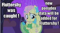 Size: 638x356 | Tagged: caught, clothes, derpibooru import, dress, edit, edited screencap, embarrassed, fluttershy, gala, gala dress, image macro, net, night, parody, pokémon, ponymon, safe, scratches, screencap, solo, the best night ever