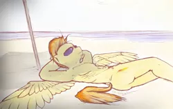 Size: 1000x630 | Tagged: suggestive, artist:adolphbartels, derpibooru import, spitfire, armpits, bare chest, beach, casual nudity, firestorm, male, nudity, practitioner of naturism, rule 63, solo, solo male, sunglasses