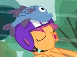 Size: 389x290 | Tagged: safe, derpibooru import, screencap, scootaloo, fish, pony, sleepless in ponyville, cropped, female, filly, helmet, out of context, sleeping, solo, wat