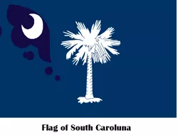 Size: 750x569 | Tagged: derpibooru import, flag, princess luna, safe, south carolina