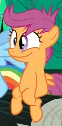 Size: 203x408 | Tagged: cute, derp, derpibooru import, faic, irrational exuberance, safe, scootaloo, screencap, sleepless in ponyville, smiling, solo