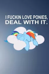 Size: 640x960 | Tagged: cloud, derpibooru import, g4, gradient background, image macro, iphone wallpaper, meta, rainbow dash, safe, sleeping, solo, text, vulgar