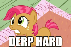Size: 600x401 | Tagged: animated, babs seed, derp, derpibooru import, image macro, safe