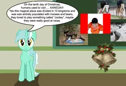 Size: 887x605 | Tagged: safe, derpibooru import, lyra heartstrings, bear, horse, human, moose, pony, unicorn, akira, bell, canada, chalkboard, christmas, female, human studies101 with lyra, irl, irl horse, kaneda shotaro, looking at you, mare, meme, photo, pun, riding, smiling, snow