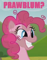 Size: 380x480 | Tagged: safe, derpibooru import, edit, edited screencap, screencap, pinkie pie, earth pony, pony, too many pinkie pies, awkward smile, bust, cropped, meme, solo