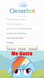 Size: 429x756 | Tagged: cleverbot, derpibooru import, me gusta, meme, rainbow dash, suggestive, text, theme song, wat