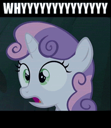 Size: 323x372 | Tagged: animated, derpibooru import, image macro, reaction image, safe, sleepless in ponyville, solo, sweetie belle, why, why would you post that