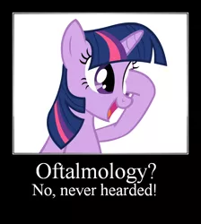 Size: 580x647 | Tagged: safe, derpibooru import, twilight sparkle, demotivational poster, meme