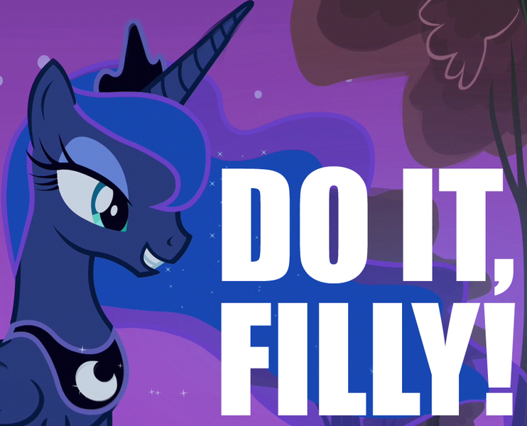 Size: 890x720 | Tagged: safe, derpibooru import, princess luna, caption, do it filly, image macro, reaction image