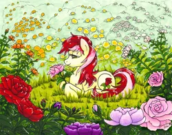 Size: 1008x792 | Tagged: artist:fallenzephyr, derpibooru import, flower, garden, roseluck, safe, solo, traditional art