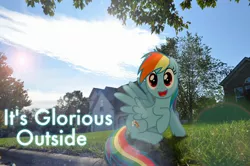 Size: 2464x1632 | Tagged: safe, derpibooru import, rainbow dash, pony, irl, lens flare, outdoors, photo, ponies in real life, suburb, vector