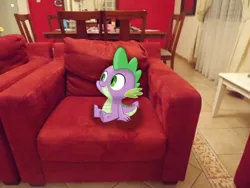 Size: 4288x3216 | Tagged: artist:missbeigepony, chair, derpibooru import, irl, photo, ponies in real life, safe, sitting, spike, vector